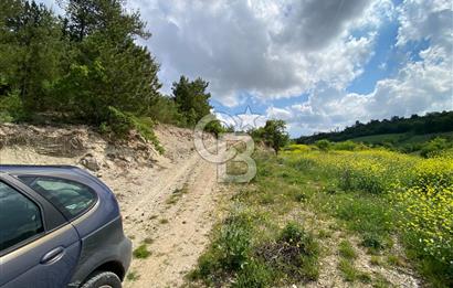 BİLECİK MERKEZ GÜLÜMBE KÖYÜNDE YATIRIMLIK 1010 M2 YOLA CEPHELİ TARLA