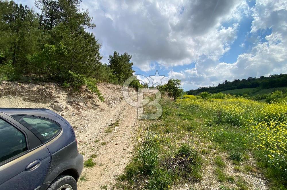 BİLECİK MERKEZ GÜLÜMBE KÖYÜNDE YATIRIMLIK 1010 M2 YOLA CEPHELİ TARLA
