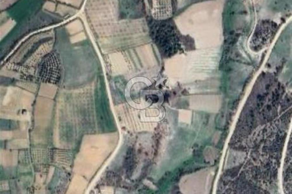 BİLECİK MERKEZ GÜLÜMBE KÖYÜNDE YATIRIMLIK 1010 M2 YOLA CEPHELİ TARLA