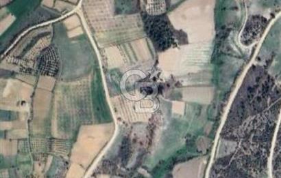 BİLECİK MERKEZ GÜLÜMBE KÖYÜNDE YATIRIMLIK 1010 M2 YOLA CEPHELİ TARLA