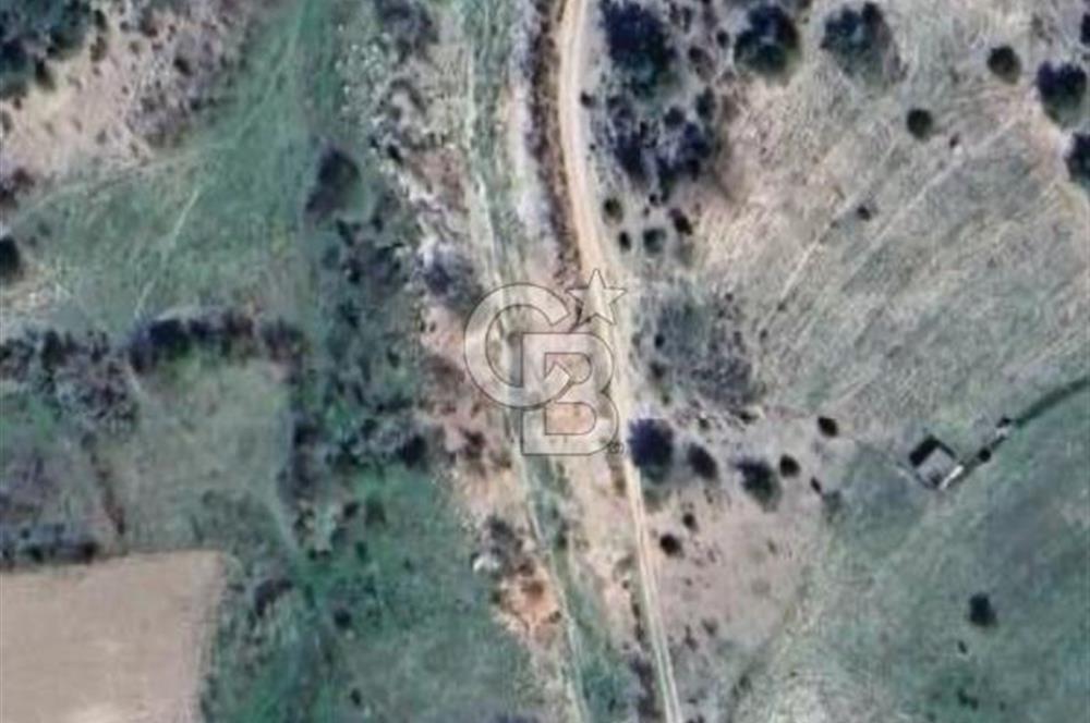 BİLECİK MERKEZ GÜLÜMBE KÖYÜNDE YATIRIMLIK 1010 M2 YOLA CEPHELİ TARLA