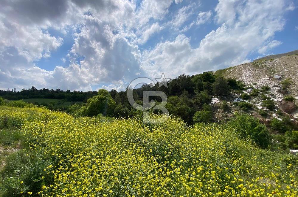BİLECİK MERKEZ GÜLÜMBE KÖYÜNDE YATIRIMLIK 1010 M2 YOLA CEPHELİ TARLA