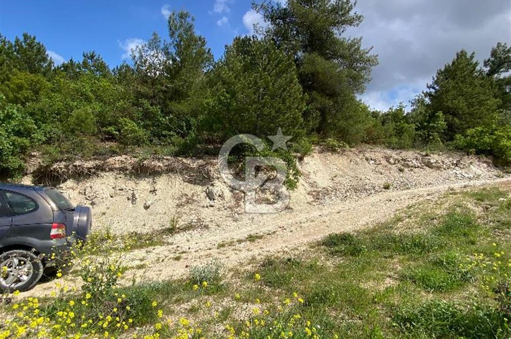 BİLECİK MERKEZ GÜLÜMBE KÖYÜNDE YATIRIMLIK 1010 M2 YOLA CEPHELİ TARLA