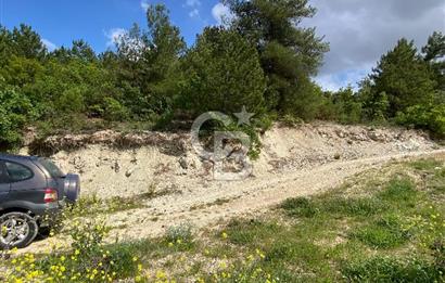 BİLECİK MERKEZ GÜLÜMBE KÖYÜNDE YATIRIMLIK 1010 M2 YOLA CEPHELİ TARLA
