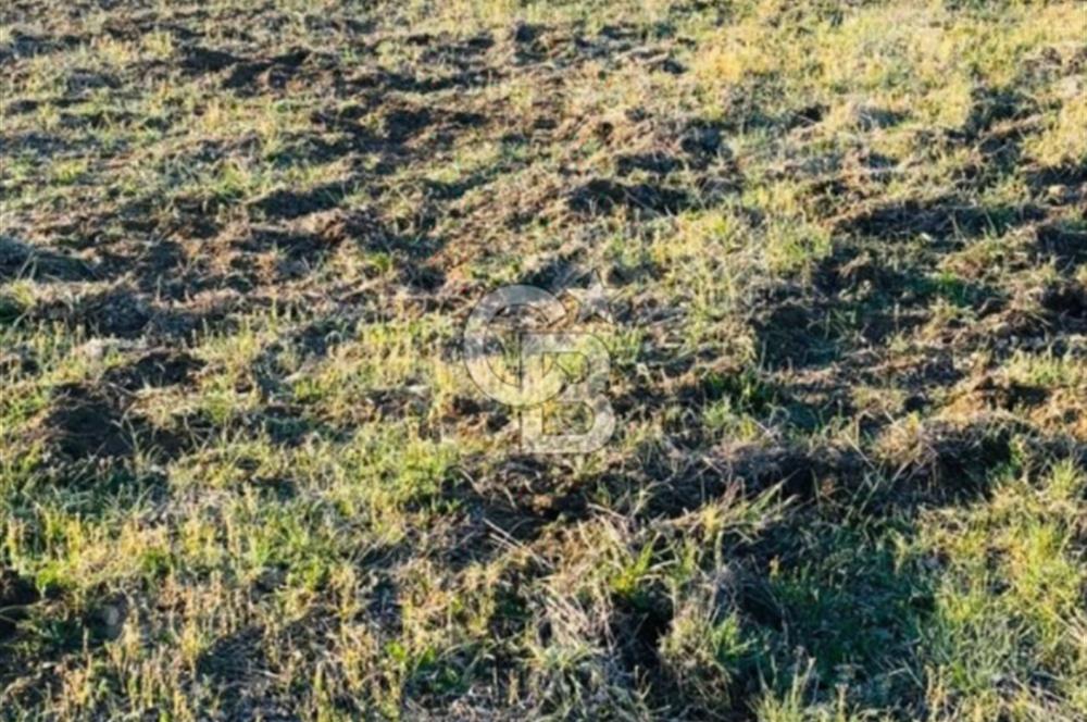 Muğla'da 914 m2 Müstakil Tapu Yatırımlık Tarla