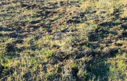 Muğla'da 914 m2 Müstakil Tapu Yatırımlık Tarla