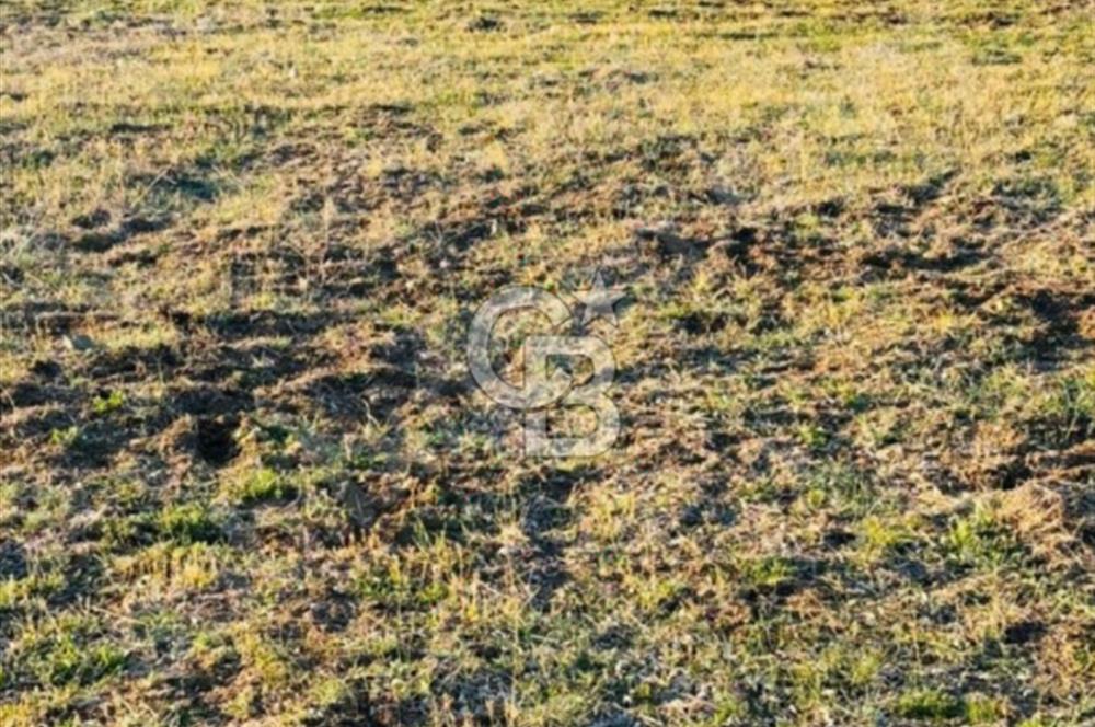 Muğla'da 914 m2 Müstakil Tapu Yatırımlık Tarla