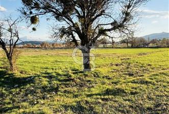Muğla'da 914 m2 Müstakil Tapu Yatırımlık Tarla