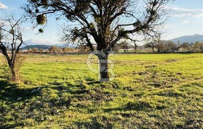 Muğla'da 914 m2 Müstakil Tapu Yatırımlık Tarla