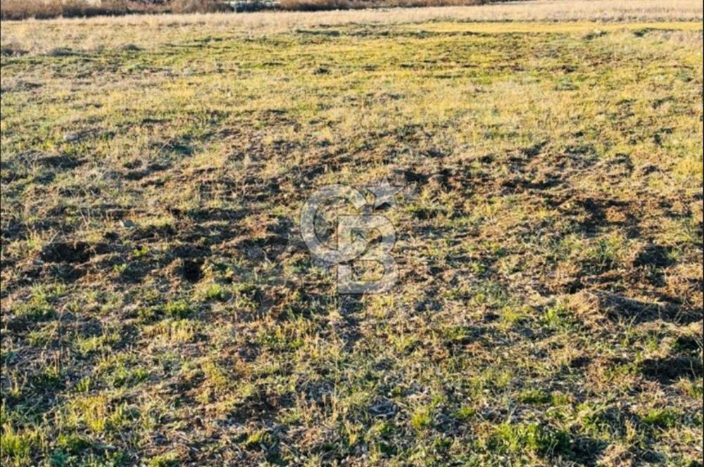 Muğla'da 914 m2 Müstakil Tapu Yatırımlık Tarla