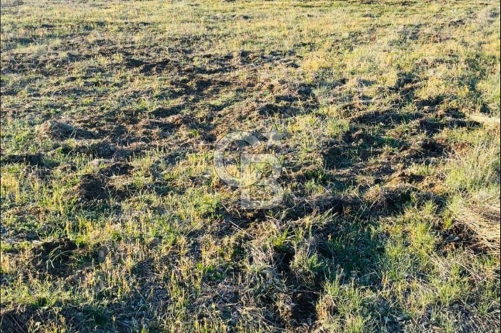 Muğla'da 914 m2 Müstakil Tapu Yatırımlık Tarla