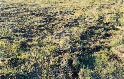Muğla'da 914 m2 Müstakil Tapu Yatırımlık Tarla