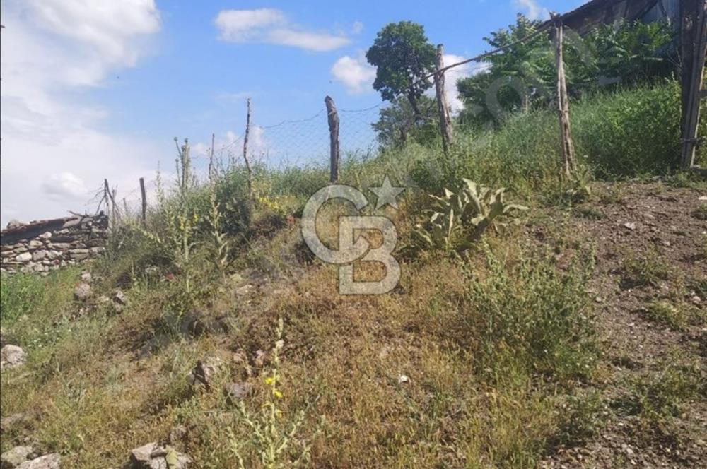 Manisa Akhisar Kocakağan Köyünde 2,5 kat Köy İçi İmarlı Arsa