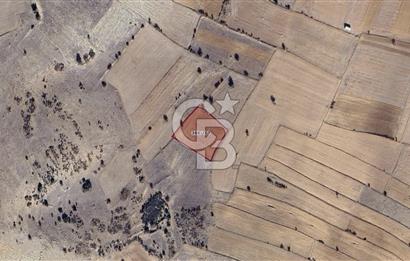 Korkuteli Bozova satılık tarla 2.671 m2