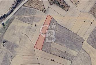 Korkuteli Bozovada Asfalt Yola 120m Toprak Yollu 5.579 m² Tarla