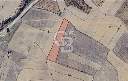 Korkuteli Bozovada Asfalt Yola 120m Toprak Yollu 5.579 m² Tarla