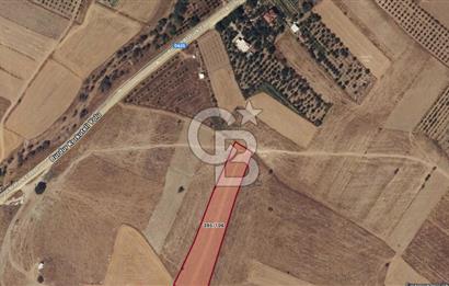 Korkuteli Bozovada Asfalt Yola 120m Toprak Yollu 5.579 m² Tarla