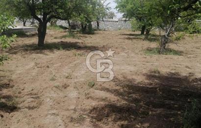 Hacılar Sakarçiftliğinde 1.027 M² Villa Parseli