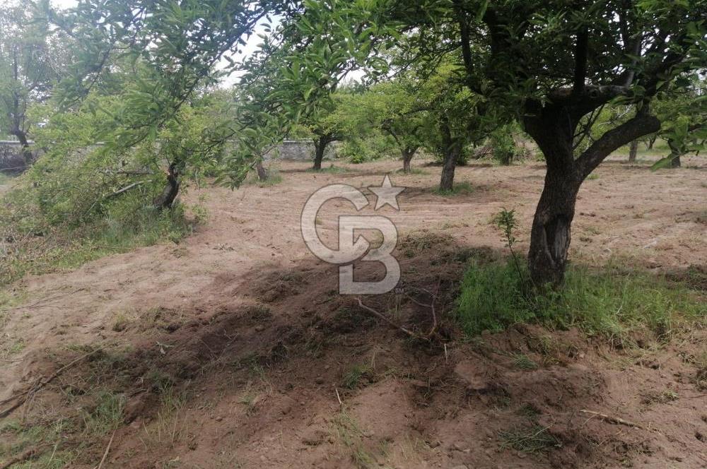 Hacılar Sakarçiftliğinde 1.027 M² Villa Parseli