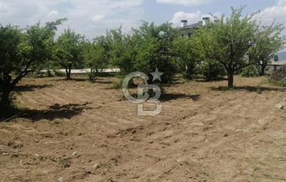 Hacılar Sakarçiftliğinde 1.027 M² Villa Parseli