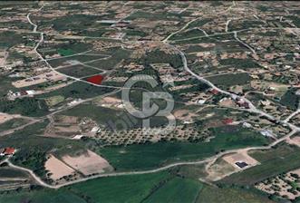Hacılar Sakarçiftliğinde 1.027 M² Villa Parseli