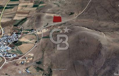 Palandöken Kümbet Mahallesinde 13.200 M² Kadastral Yolu Mevcut