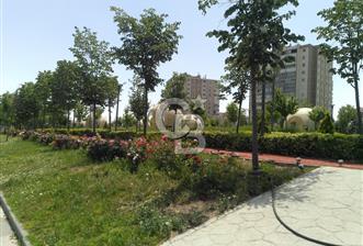 SUSUZ BELÖREN MESUTKENT SAHİL KONUT YAP. KOOP. HİSSE