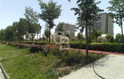 SUSUZ BELÖREN MESUTKENT SAHİL KONUT YAP. KOOP. HİSSE
