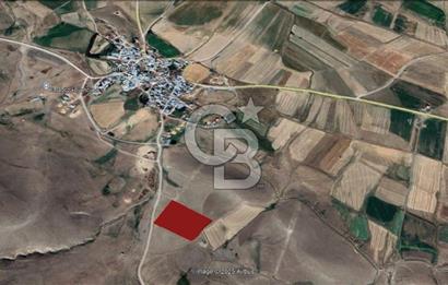 Palandöken Kümbet Mahallesinde 13.200 M² Kadastral Yolu Mevcut