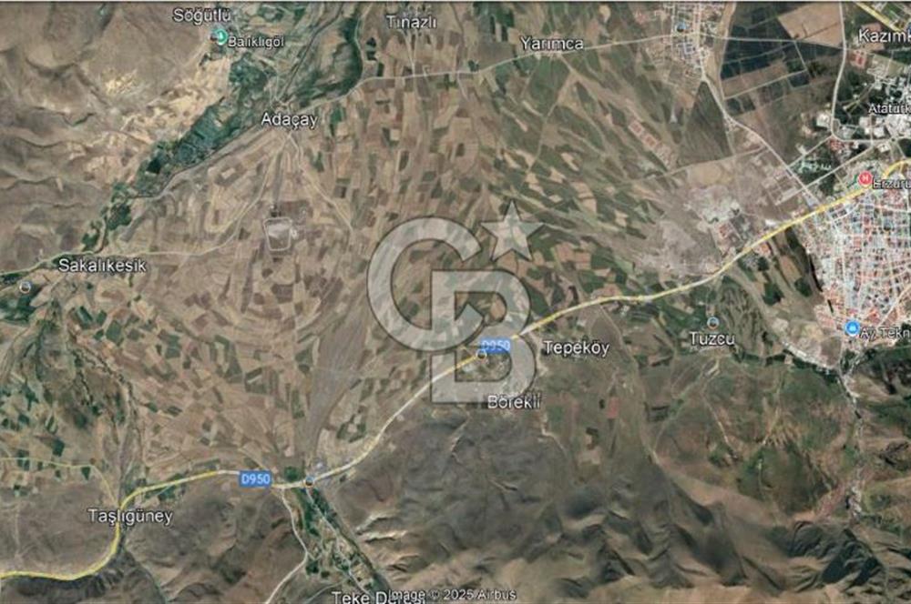 Palandöken Kümbet Mahallesinde 13.200 M² Kadastral Yolu Mevcut