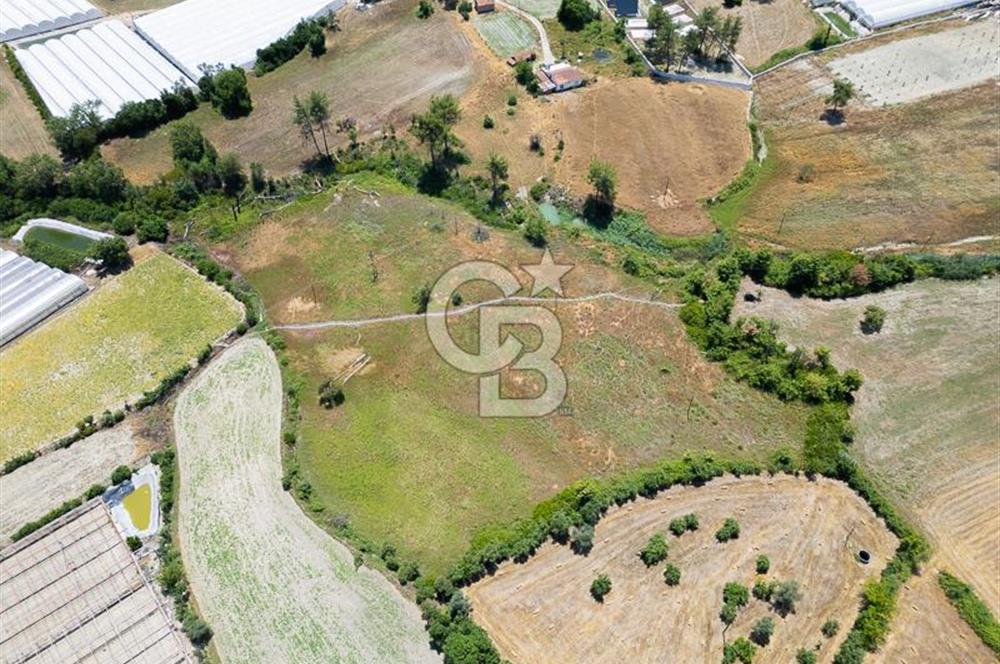 CB ARDENDEN KAŞ UĞRAR KÖYÜNDE 7146 M2 SATILIK TARLA