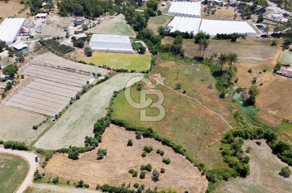 CB ARDENDEN KAŞ UĞRAR KÖYÜNDE 7146 M2 SATILIK TARLA