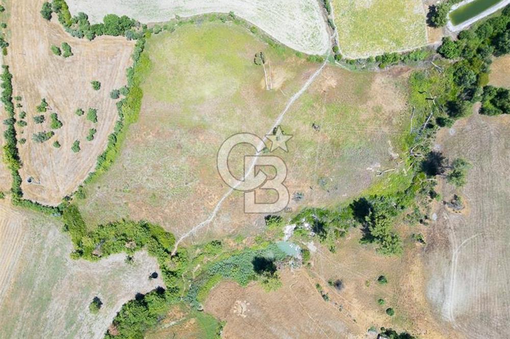 CB ARDENDEN KAŞ UĞRAR KÖYÜNDE 7146 M2 SATILIK TARLA