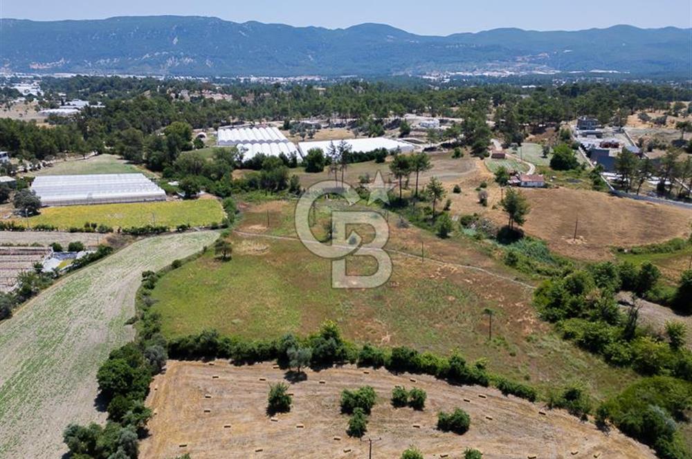 CB ARDENDEN KAŞ UĞRAR KÖYÜNDE 7146 M2 SATILIK TARLA