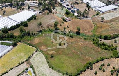 CB ARDENDEN KAŞ UĞRAR KÖYÜNDE 7146 M2 SATILIK TARLA