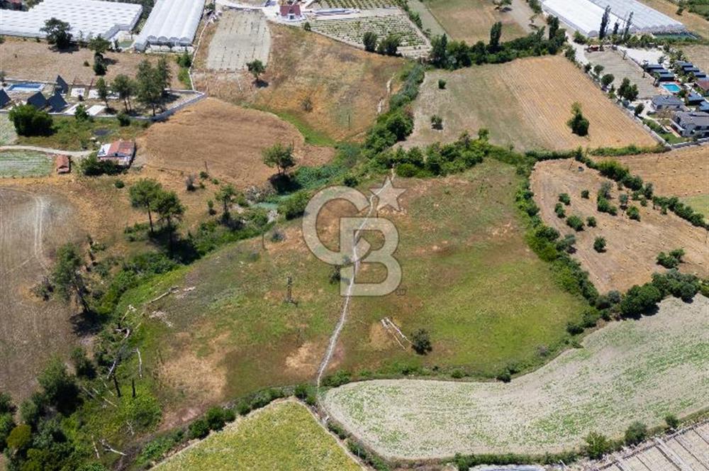 CB ARDENDEN KAŞ UĞRAR KÖYÜNDE 7146 M2 SATILIK TARLA