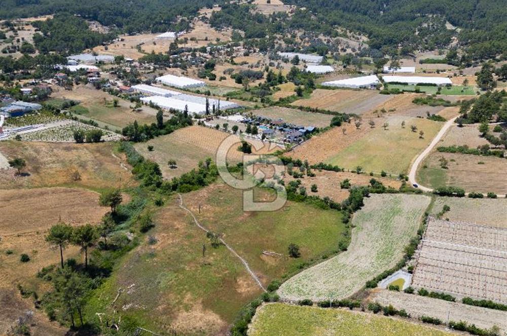 CB ARDENDEN KAŞ UĞRAR KÖYÜNDE 7146 M2 SATILIK TARLA