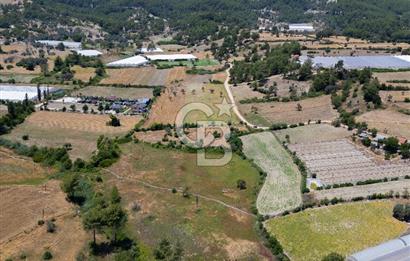 CB ARDENDEN KAŞ UĞRAR KÖYÜNDE 7146 M2 SATILIK TARLA