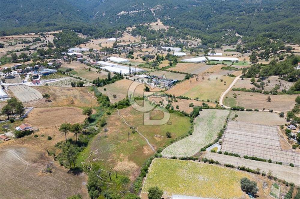 CB ARDENDEN KAŞ UĞRAR KÖYÜNDE 7146 M2 SATILIK TARLA
