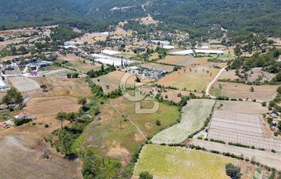 CB ARDENDEN KAŞ UĞRAR KÖYÜNDE 7146 M2 SATILIK TARLA