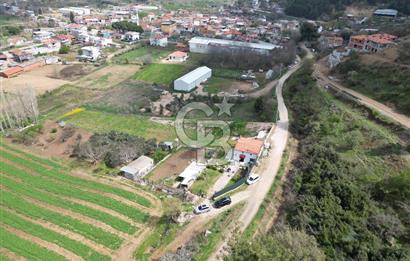 GELİBOLU PAZARLI'DA EKO TURİZM VE KONUT İMARLI SATILIK ARSA
