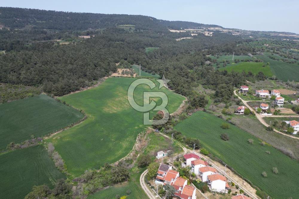 GELİBOLU PAZARLI'DA EKO TURİZM VE KONUT İMARLI SATILIK ARSA