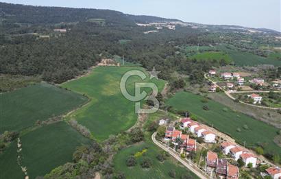 GELİBOLU PAZARLI'DA EKO TURİZM VE KONUT İMARLI SATILIK ARSA