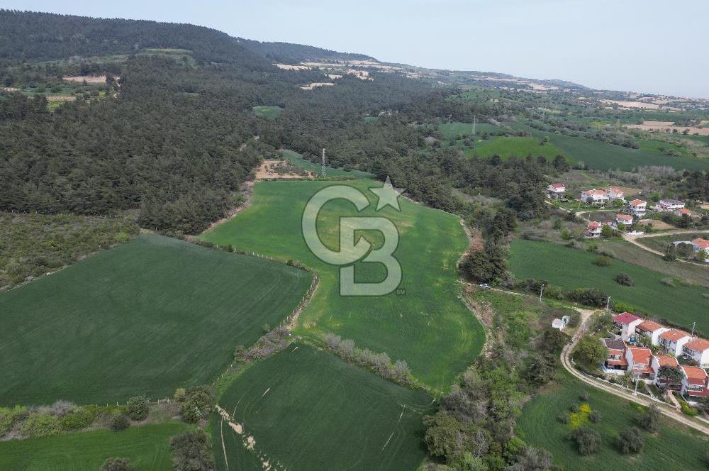 GELİBOLU PAZARLI'DA EKO TURİZM VE KONUT İMARLI SATILIK ARSA