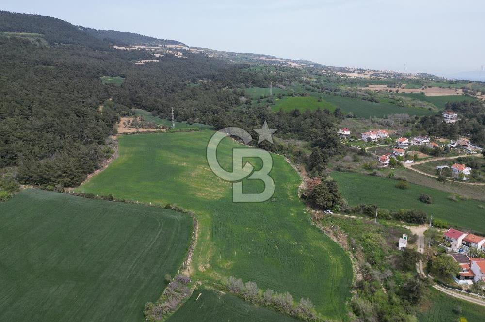 GELİBOLU PAZARLI'DA EKO TURİZM VE KONUT İMARLI SATILIK ARSA