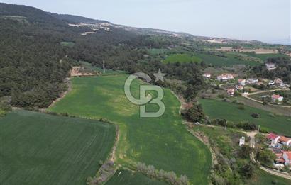 GELİBOLU PAZARLI'DA EKO TURİZM VE KONUT İMARLI SATILIK ARSA
