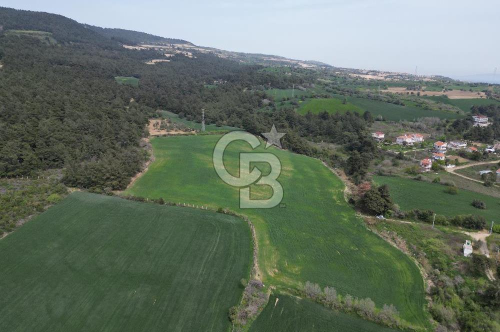 GELİBOLU PAZARLI'DA EKO TURİZM VE KONUT İMARLI SATILIK ARSA