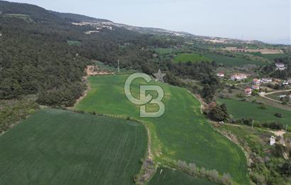 GELİBOLU PAZARLI'DA EKO TURİZM VE KONUT İMARLI SATILIK ARSA