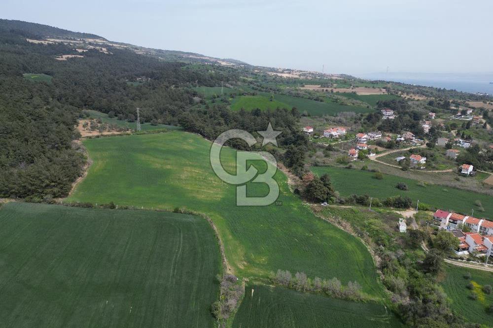 GELİBOLU PAZARLI'DA EKO TURİZM VE KONUT İMARLI SATILIK ARSA