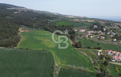 GELİBOLU PAZARLI'DA EKO TURİZM VE KONUT İMARLI SATILIK ARSA